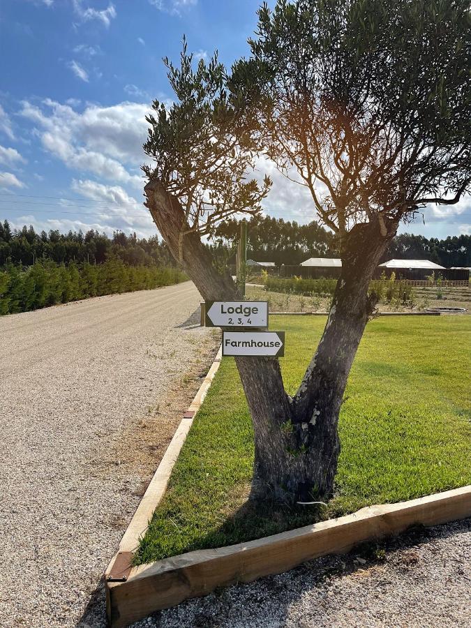 Kuanza Farmhouse And Lodge Замбужейра до Мар Екстериор снимка